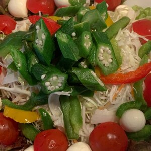 野菜とモッツァレラチーズの山盛りサラダ